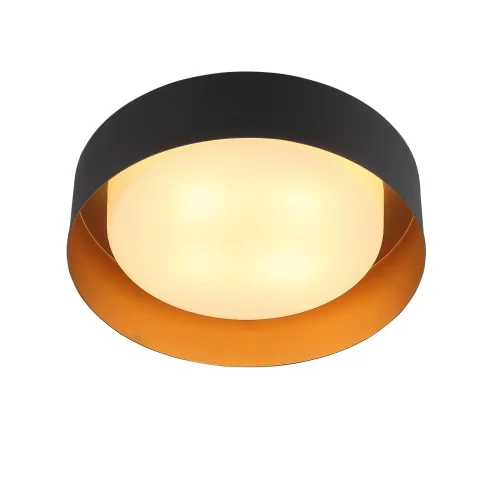 Светильник потолочный Chio SL392.422.04 ST-Luce белый 4 лампы, основание чёрное в стиле современный  фото 2