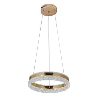 Люстра подвесная LED с пультом Платлинг 117010301 DeMarkt прозрачная на 1 лампу, основание золотое в стиле с пультом Люстра подвесная LED с пультом Платлинг 117010301 DeMarkt прозрачная на 1 лампу, основание золотое в стиле с пультом