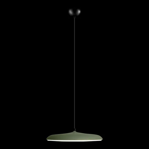 Светильник подвесной LED Plato 10119 Green LOFT IT белый зелёный 1 лампа, основание чёрное в стиле современный  фото 2