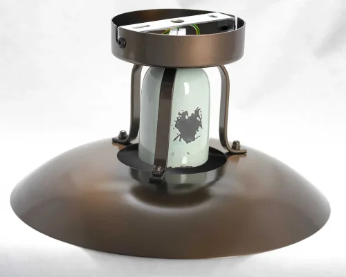 Светильник потолочный Vermilion GRLSP-8162 Lussole коричневый 1 лампа, основание коричневое голубое в стиле лофт  фото 3