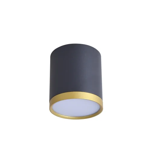 Светильник накладной LED Baral 3081-1C Favourite чёрный 1 лампа, основание чёрное в стиле современный круглый фото 2