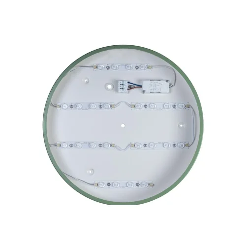 Светильник потолочный LED Axel 10003/24 Green LOFT IT белый 1 лампа, основание зелёное в стиле современный  фото 4