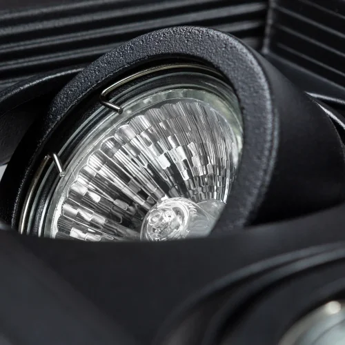 Светильник точечный Canis A6661PL-2BK Arte Lamp чёрный 2 лампы, основание чёрное в стиле современный  фото 4