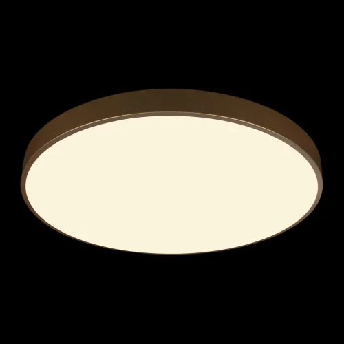 Светильник потолочный LED Flims 10228/B LOFT IT белый 1 лампа, основание золотое в стиле современный  фото 2