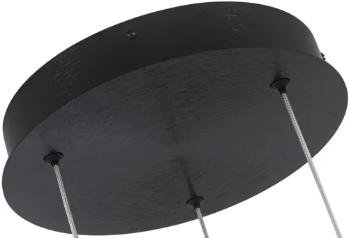 Светильник подвесной LED с пультом Ring 4006/02/03PL Stilfort чёрный 1 лампа, основание чёрное в стиле современный хай-тек с пультом кольца фото 4
