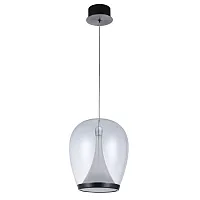 Светильник подвесной LED Campo 5875/09 SP-20 Divinare прозрачный 1 лампа, основание чёрное в стиле модерн 