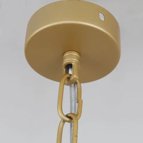 Светильник подвесной Turris 4200-1P Favourite прозрачный 1 лампа, основание матовое золото в стиле классический  фото 4
