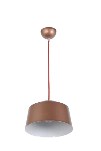 Светильник подвесной Tempo E 1.3.P1 BR Arti Lampadari коричневый 1 лампа, основание коричневое в стиле современный 