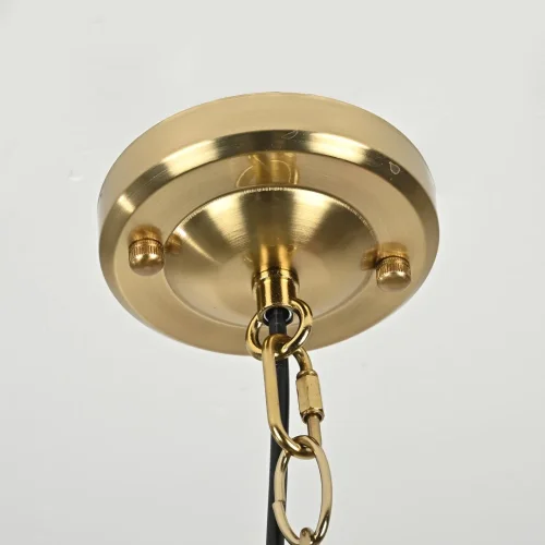 Светильник подвесной Frosted 73573-22 ImperiumLoft прозрачный 1 лампа, основание золотое в стиле современный лофт  фото 10