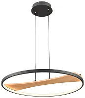 Светильник подвесной LED 450-063-01 Velante чёрный коричневый 1 лампа, основание чёрное в стиле хай-тек современный 