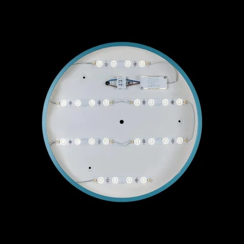 Светильник потолочный LED Axel 10003/24 Blue LOFT IT белый 1 лампа, основание голубое в стиле современный  фото 3