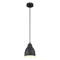 Светильник подвесной лофт Braccio A2054SP-1BK Arte Lamp чёрный 1 лампа, основание чёрное в стиле лофт 