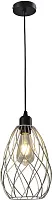 Светильник подвесной лофт Martha TL1191H-01SL Toplight серебряный 1 лампа, основание чёрное в стиле лофт современный 