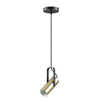 Светильник подвесной Claire 3714/1 Lumion золотой 1 лампа, основание чёрное в стиле современный трубочки