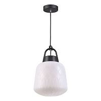 Подвесной светильник Conte 370601 Novotech уличный IP44 чёрный 1 лампа, плафон белый в стиле модерн E27