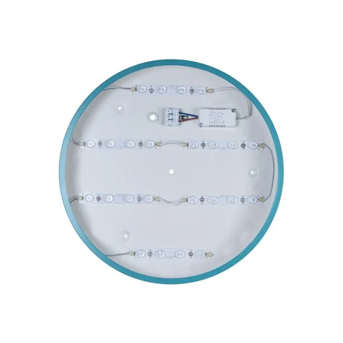 Светильник потолочный LED Axel 10003/24 Blue LOFT IT белый 1 лампа, основание голубое в стиле современный  фото 4