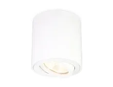 Светильник накладной TN22701 Ambrella light белый 1 лампа, основание белое в стиле минимализм хай-тек круглый