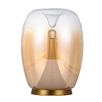 Настольная лампа LED Campo 5875/07 TL-15 Divinare янтарная 1 лампа, основание латунь металл в стиле модерн 