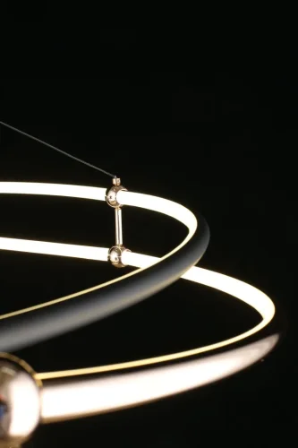 Люстра подвесная LED Diana APL.034.03.120 Aployt чёрная золотая на 1 лампа, основание чёрное золотое в стиле современный кольца фото 2