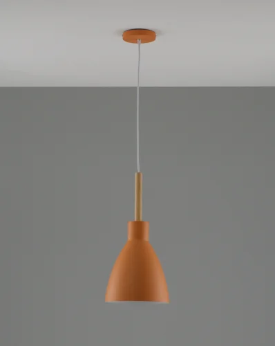 Светильник подвесной Toni V10650-1P Moderli бежевый оранжевый 1 лампа, основание оранжевое в стиле современный лофт скандинавский  фото 2
