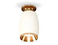 Светильник накладной Techno spot XS1122044 Ambrella light белый 1 лампа, основание золотое в стиле хай-тек современный круглый