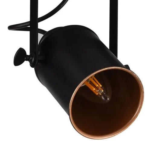 Спот с 2 лампами Neider 3015/02/02C Stilfort чёрный E27 в стиле лофт  фото 2