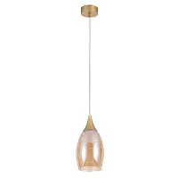 Светильник подвесной Barry A7951SP-1GO Arte Lamp янтарный 1 лампа, основание золотое в стиле современный 
