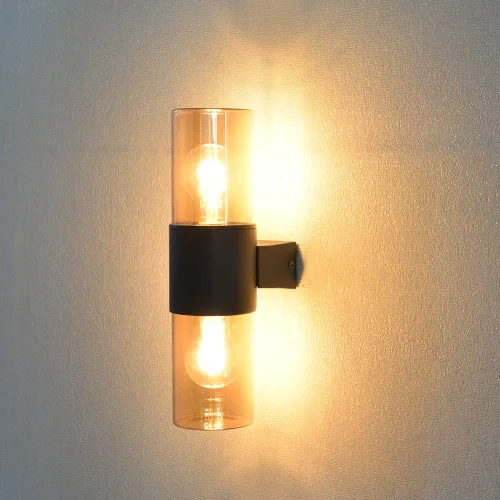 Настенный светильник Seginus A6515AL-2BK Arte Lamp уличный IP54 чёрный 2 лампы, плафон янтарный в стиле современный E27 фото 3