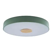 Светильник потолочный LED Axel 10003/24 Green LOFT IT белый 1 лампа, основание зелёное в стиле современный 