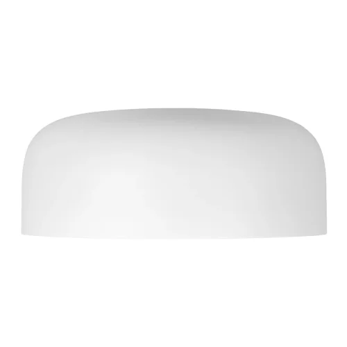 Светильник потолочный LED Axel 10201/480 White LOFT IT белый 1 лампа, основание белое в стиле современный  фото 5