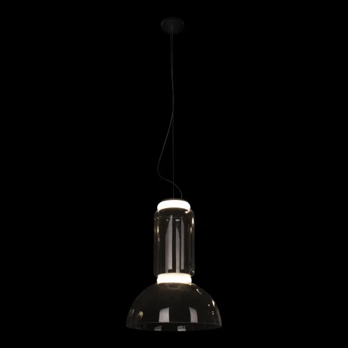 Светильник подвесной LED Noctambule 10192/S LOFT IT прозрачный 2 лампы, основание чёрное в стиле современный  фото 2
