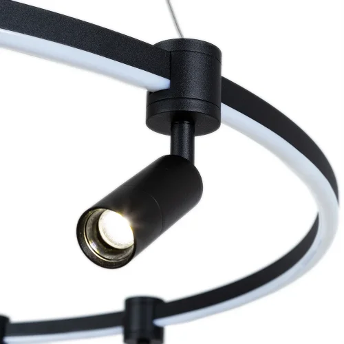 Светильник подвесной LED Ring A2186SP-1BK Arte Lamp чёрный 1 лампа, основание чёрное в стиле современный хай-тек кольца фото 4