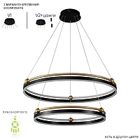 Люстра подвесная с пультом FERNANDO SP123W BLACK/GOLD Crystal Lux чёрная на 1 лампу, основание чёрное в стиле современный кольца с пультом Люстра подвесная с пультом FERNANDO SP123W BLACK/GOLD Crystal Lux чёрная на 1 лампу, основание чёрное в стиле современный кольца с пультом