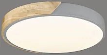 Светильник потолочный LED 445-227-01 Velante белый 1 лампа, основание серое коричневое в стиле современный кантри 