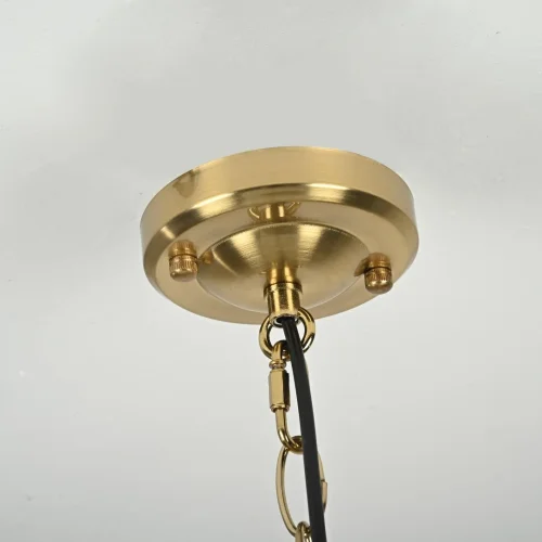 Светильник подвесной Effervescent 228946-22 ImperiumLoft прозрачный 1 лампа, основание золотое в стиле восточный винтаж  фото 11