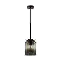 Светильник подвесной Boris 5281/1 Lumion чёрный 1 лампа, основание чёрное в стиле современный 