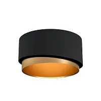 Светильник потолочный Manderline 39924 Eglo чёрный латунь 1 лампа, основание чёрное в стиле современный 