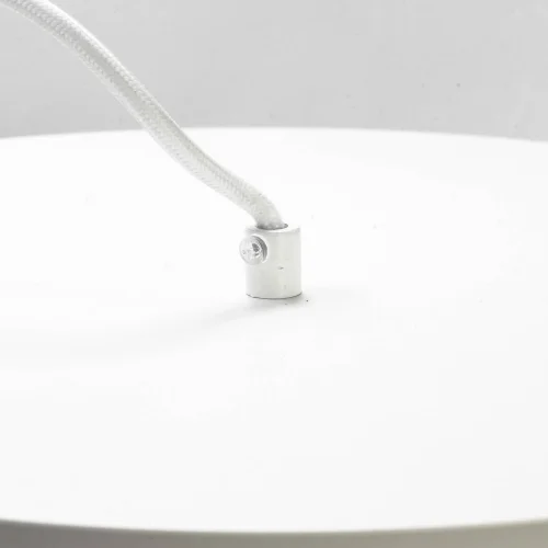 Светильник подвесной Tanaina GRLSP-9559 Lussole белый 1 лампа, основание белое в стиле современный  фото 4