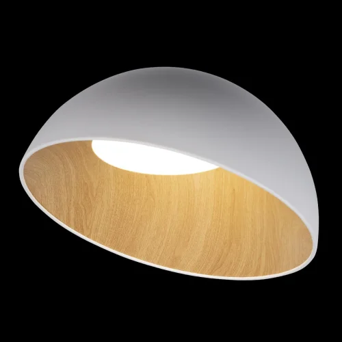 Светильник потолочный LED Egg 10197/500 White LOFT IT белый бежевый коричневый 1 лампа, основание коричневое белое в стиле современный  фото 2