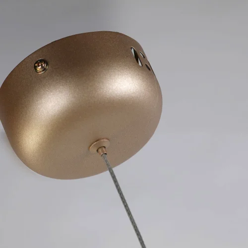 Светильник подвесной LED Tibia 2217-1P Favourite прозрачный 1 лампа, основание золотое в стиле современный трубочки фото 7