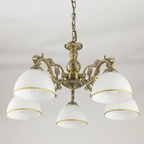 Люстра подвесная / потолочная Адриана CL405253 Citilux белая на 5 ламп, основание бронзовое в стиле классический  фото 4