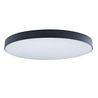 Светильник потолочный LED Axel 10002/48 Black LOFT IT белый 1 лампа, основание чёрное в стиле современный 