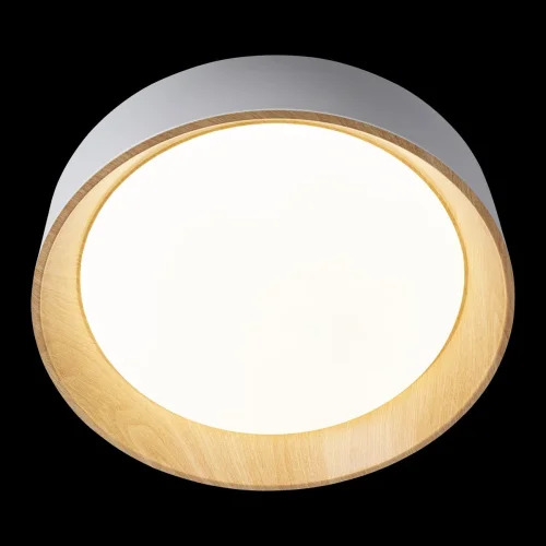 Светильник потолочный LED Coin 10202 White LOFT IT коричневый бежевый белый 1 лампа, основание коричневое белое в стиле современный  фото 4