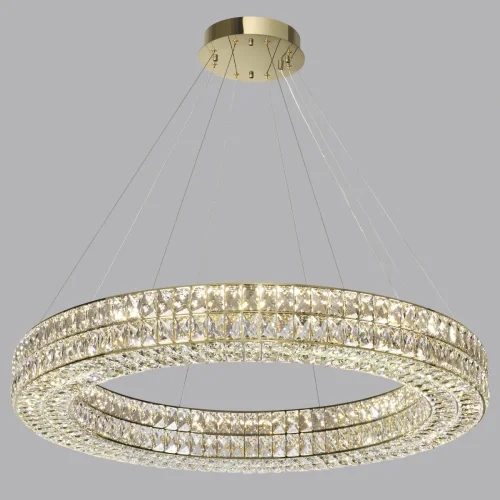 Люстра подвесная LED Panta 4926/98L Odeon Light прозрачная на 1 лампа, основание золотое в стиле современный кольца фото 6