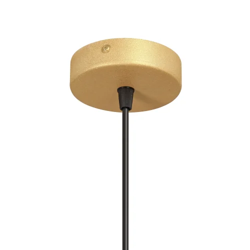 Светильник подвесной V2955-8/1S Vitaluce прозрачный 1 лампа, основание золотое в стиле арт-деко  фото 3