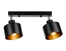Спот с 2 лампами TR8142 Ambrella light чёрный E27 в стиле лофт 