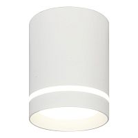 Светильник накладной LED 20009SMU/01LED SWH Escada белый 1 лампа, основание белое в стиле современный круглый