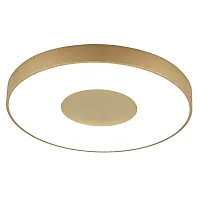 Светильник потолочный LED с пультом Coin 8036 Mantra золотой белый 1 лампа, основание золотое в стиле современный хай-тек с пультом