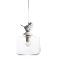 Светильник подвесной лофт Passero A8029SP-1WH Arte Lamp прозрачный 1 лампа, основание белое в стиле лофт птички