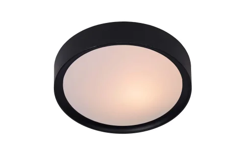 Светильник потолочный LEX 08109/01/30 Lucide белый 1 лампа, основание чёрное в стиле современный 